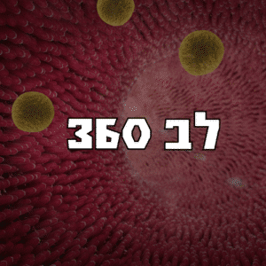 קורס כולסטרול (לב 360)